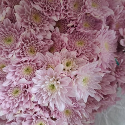 ร้านขายส่งดอกไม้นำเข้าจากจีน - พวงหรีดส่งด่วน - ​ลีน่า ฟลาวเวอร์(Leena Flowers Shop)